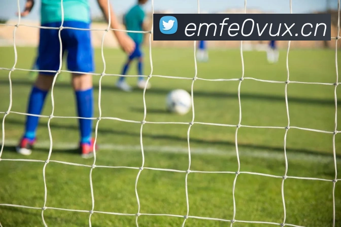 星空网官网品牌故事