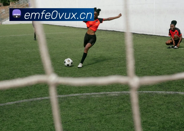 星空网官网服务体系